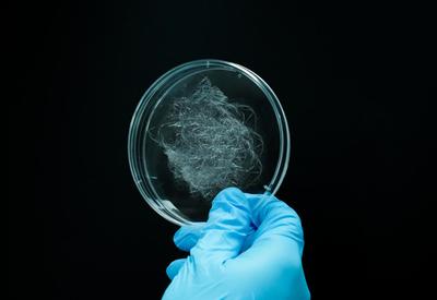 编织未来 态创生物以合成生物制造蛛丝蛋白，助推生物基新材料发展