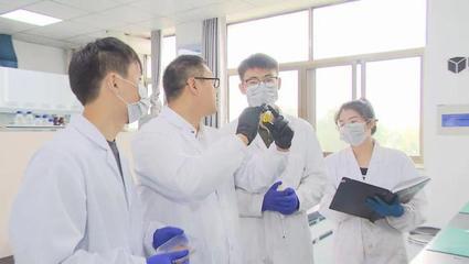 太阳能电池研究取得新突破 合成材料引领绿色能源革命