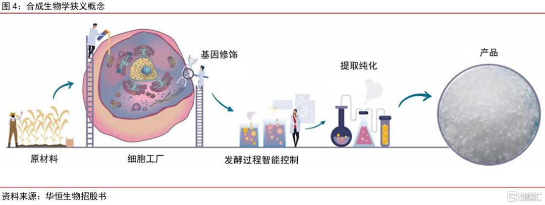 能源化工:合成生物乘势而起,颠覆传统引领未来